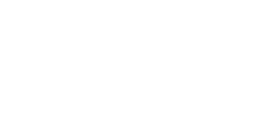 bourbon review logo
